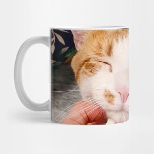 Cat Cafe: Simba (gifts) Mug